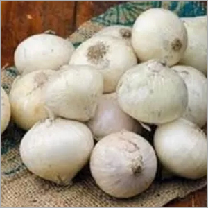 Fresh White Onion - Natural Shape | Superior Quality, Versatile Culinary Use, Freshness Guaranteed