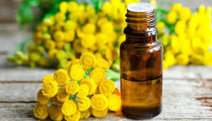 Tansy Oil Age Group: Adults