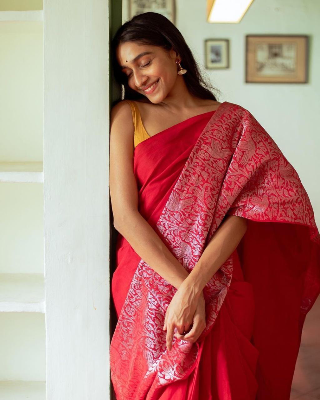 Multi Colour Ladies Banarasi Saree