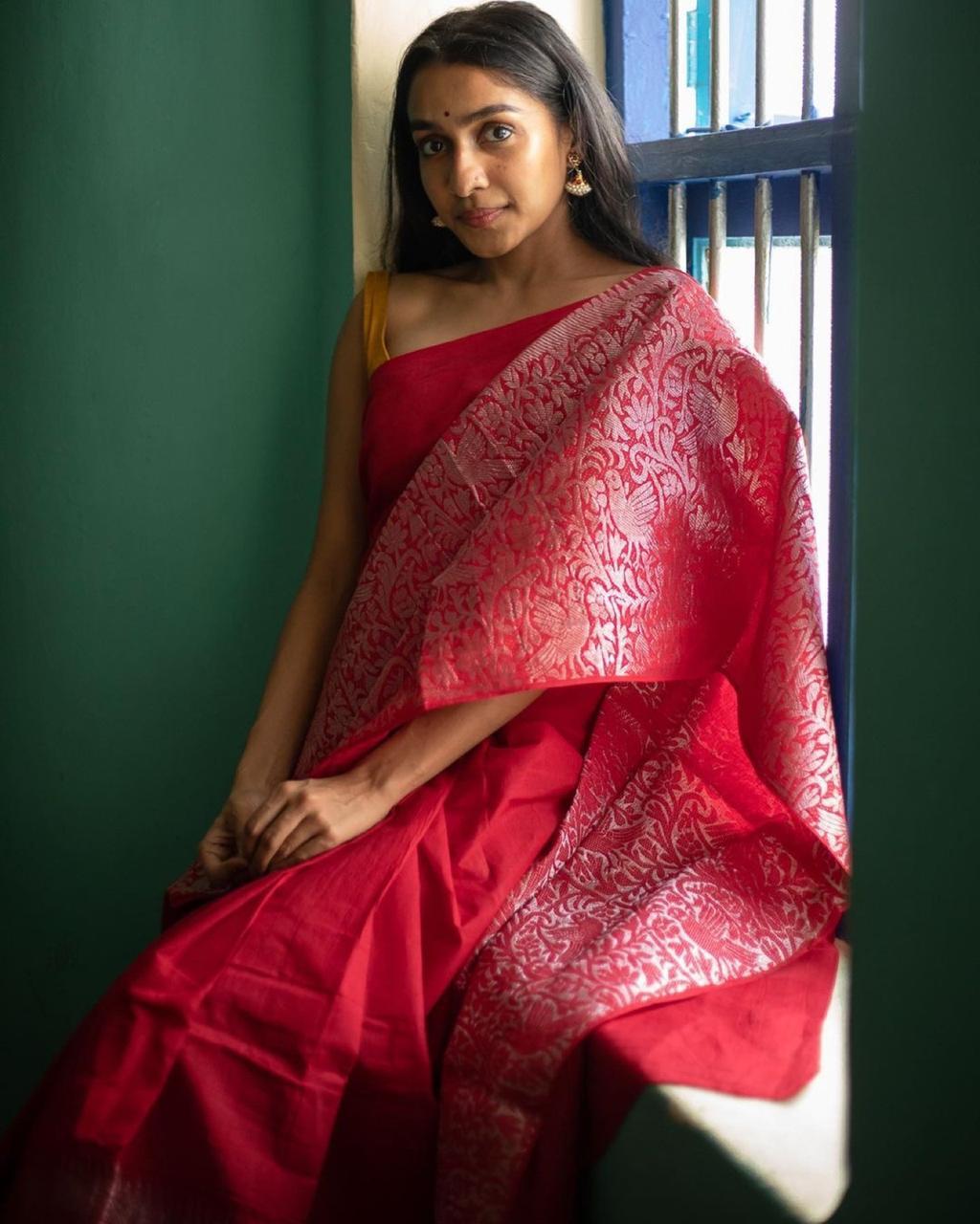 Multi Colour Ladies Banarasi Saree