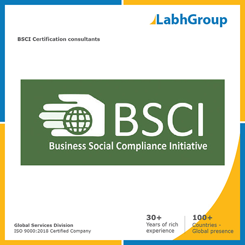 BSCI प्रमाणन सलाहकार