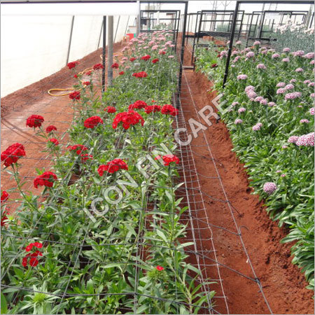 बागवानी परियोजना