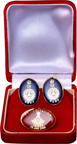 बैज और लैपल पिन