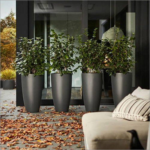 Designer Planters And Pots