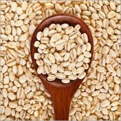 Natural Barley - Medium Grain Size, Irregular Shape | 14% Moisture Content, Bulk Packaging, 12 Months Shelf Life