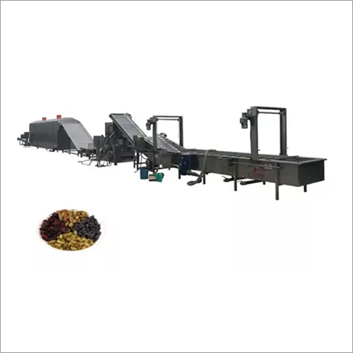 Commercial Raisins Washing And Drying Machine