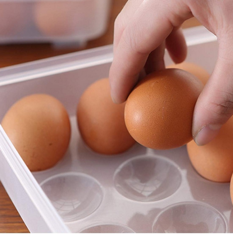 Egg Storage Container