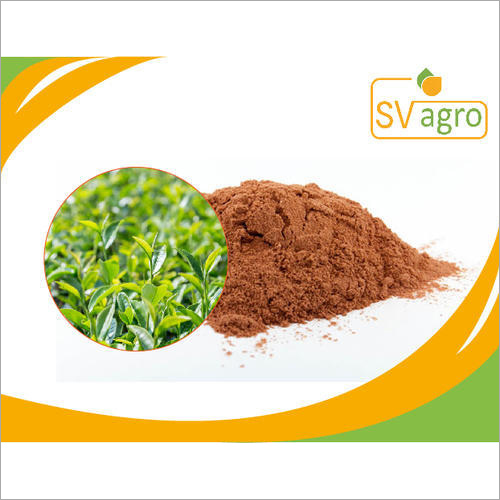 Green Tea Extract Grade: Na