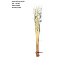 लॉन्ग वर्किंग लाइफ इंडो एकल पाम ब्रूम