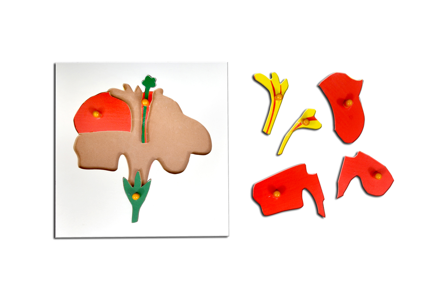 Kidken Flower Puzzle - Wooden 24x24 Cm Red | Montessori Learning Aid For Botany With Knobs For Fine Motor Skills Development