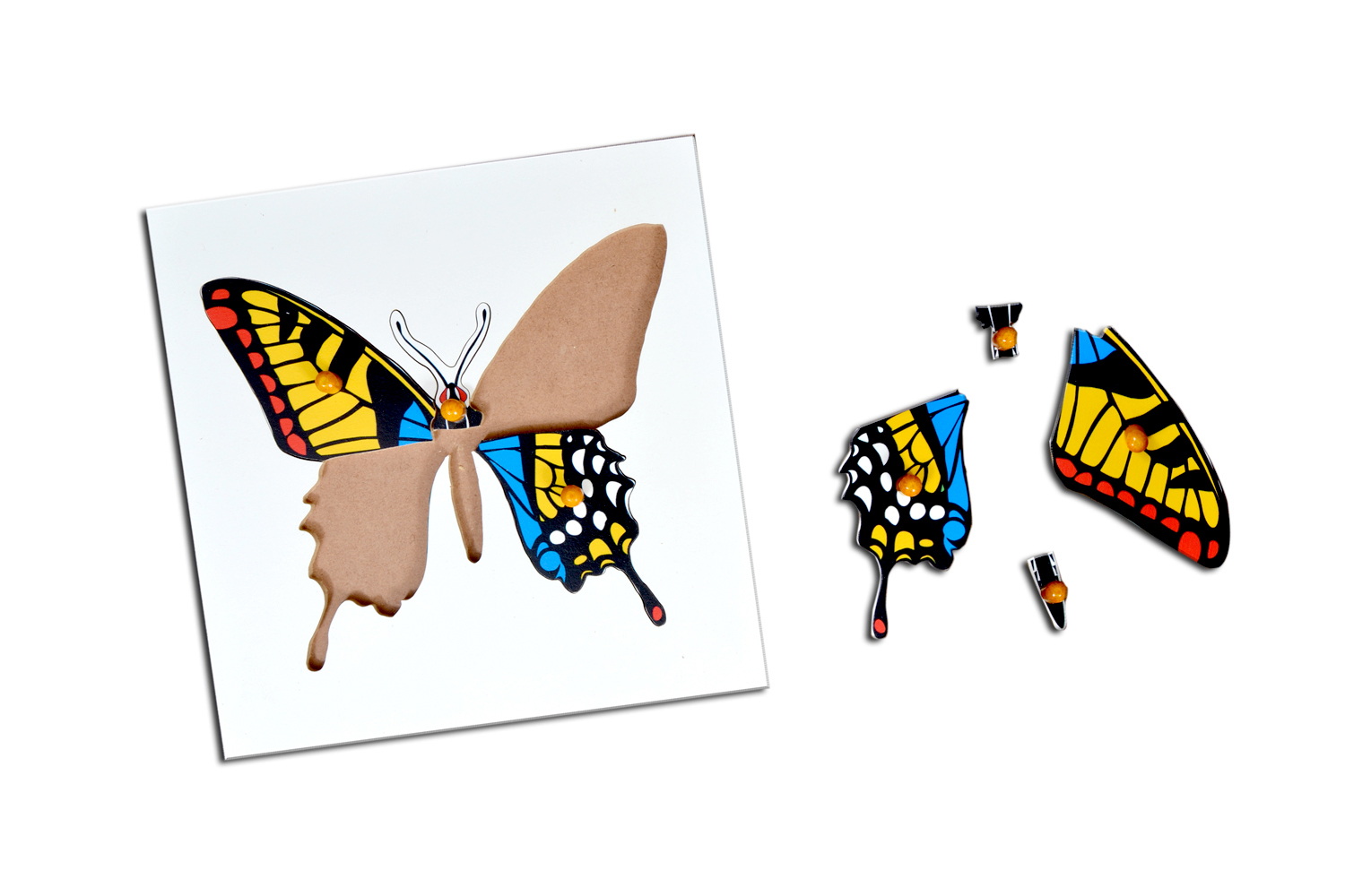 Kidken Montessori Butterfly Puzzle - Wooden | 24x24 Cm Multi-color Educational Zoology Puzzle Toy For 2+ Years