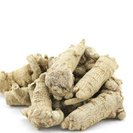 San Qi Medicine Sanchi Gmp Factory High Quality Natural Notoginseng Root