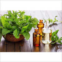 मिंट ऑयल की शुद्धता: उच्च