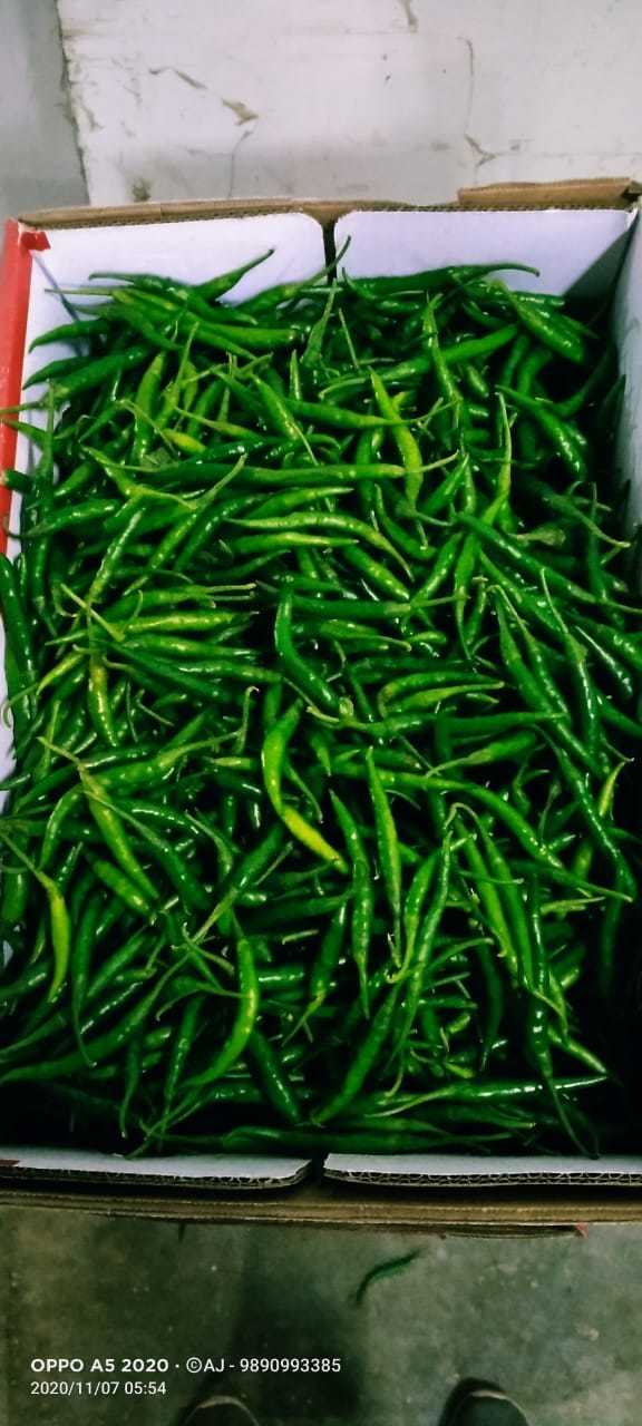 Green Chillies - Fresh Green Color | Shelf Life: 20 Days
