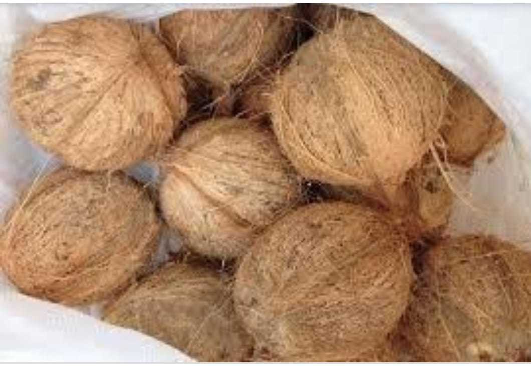 Husked Coconut - 600kg, Sweet Glutinous Variety With 3-month Shelf Life | Versatile For Culinary Uses, Perfect For Desserts And Snacks