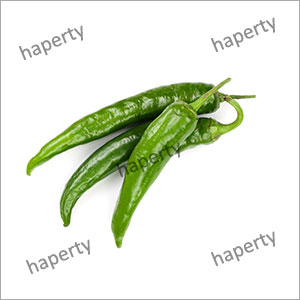 ताजी हरी मिर्च