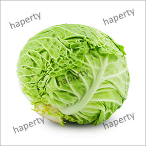 Fresh Cabbage