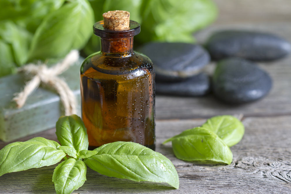 Basil Oil - Pure Essential Oil Extract From Ocimum Basilicum Leaves | Rich In Omega-3, Antioxidants, Iron, Calcium, Vitamin C & K, Aromatic Odour, Colorless Liquid, All Age Group Usage