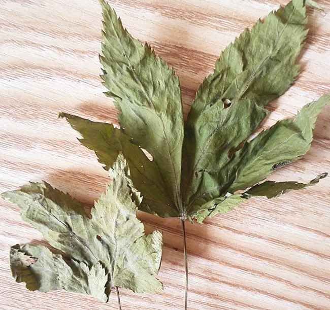 Dried Red Raspberry Leaf Tea, Cut & Sifted Loose Leaf Herbs Tea Pregnancy Tea