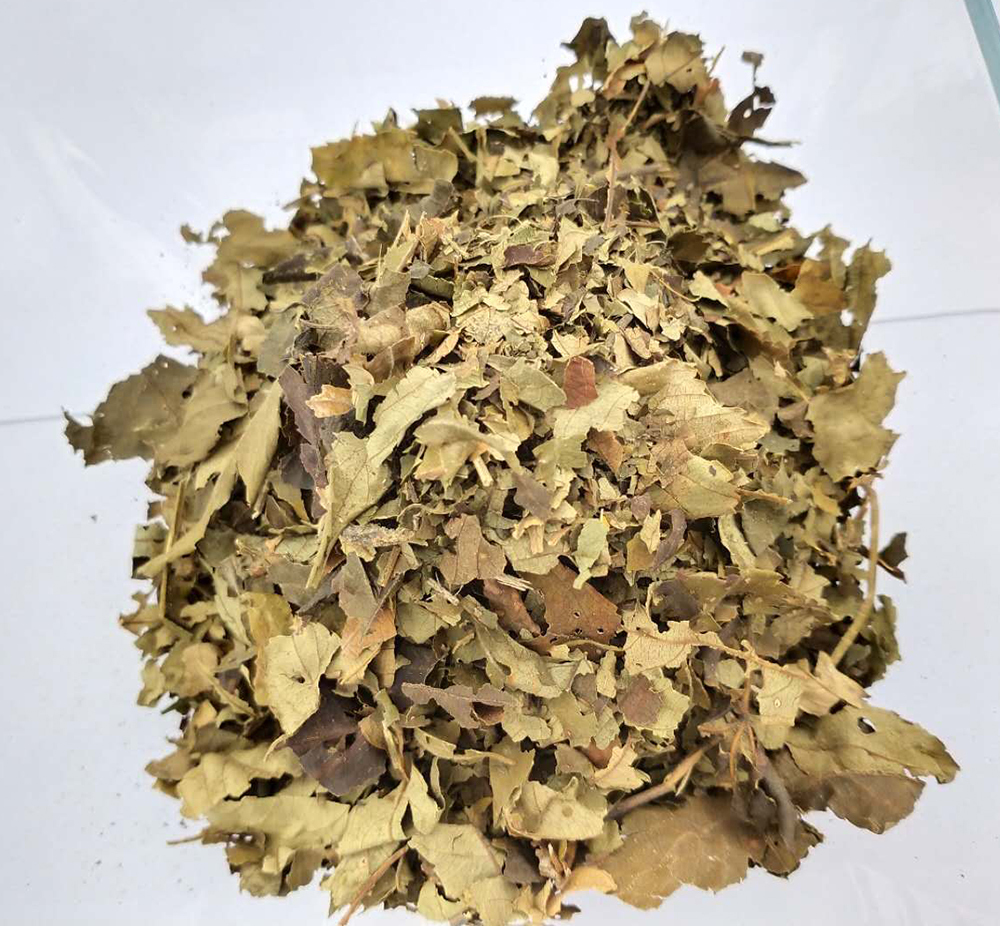 Dried Red Raspberry Leaf Tea, Cut & Sifted Loose Leaf Herbs Tea Pregnancy Tea