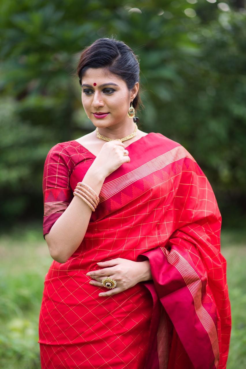 Multi Colour Saree New Launch