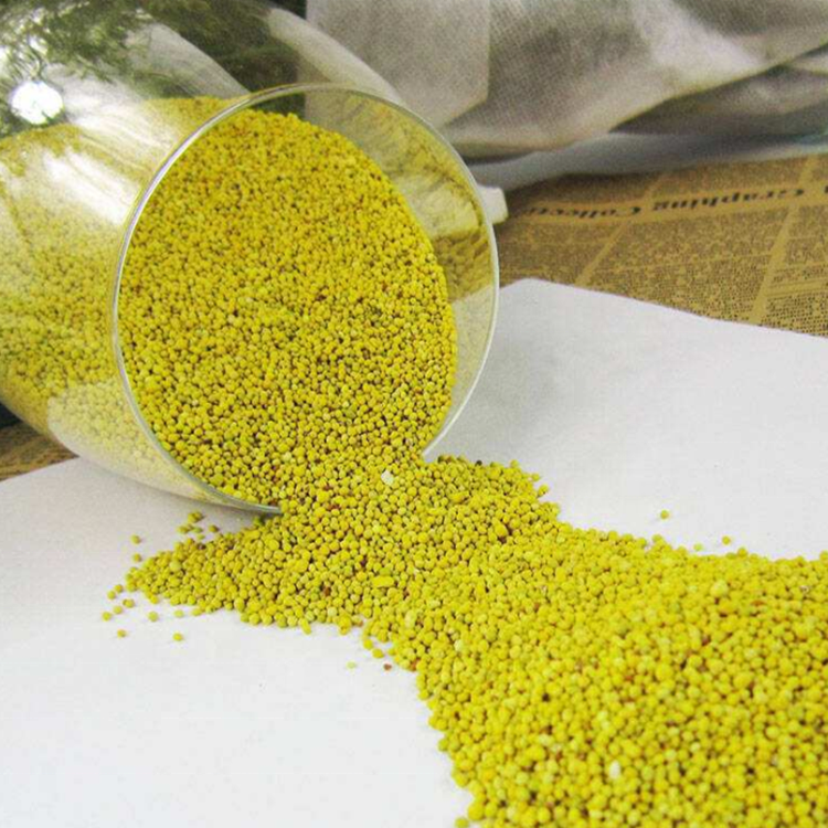 High Germiantion Clover Seed Trifolium Repens L Seeds For Growing