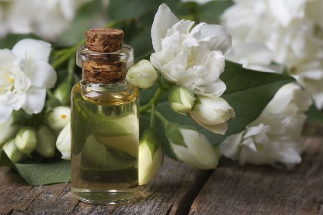 Jasmine Oil - Pure Essential Oil Extracted From Flowers | Aphrodisiac Properties Promotes Love And Peace Versatile For Fragrance Production And Personal Care