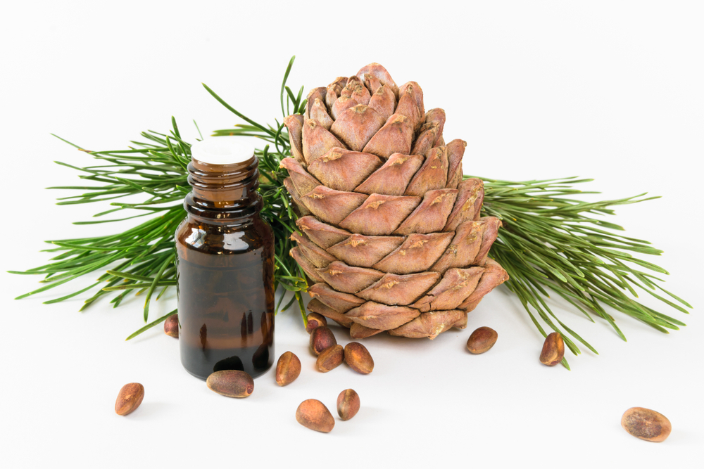 Cedarwood Oil - Brown To Clear Liquid |  Aromatic Odor, High-grade Fragrance, Astringent Action For Skin And Hair Care