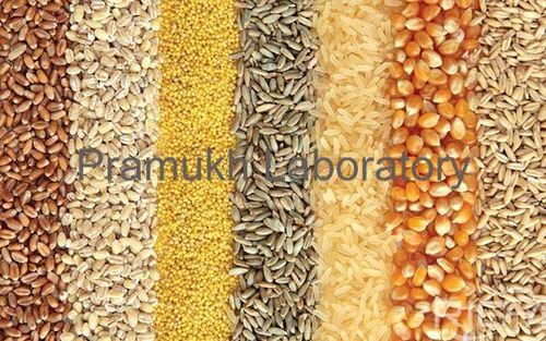 Cattle Raw Feed Testing Service - Comprehensive Nutritional Analysis, Ensuring Feed Safety and Enhancing Livestock Health