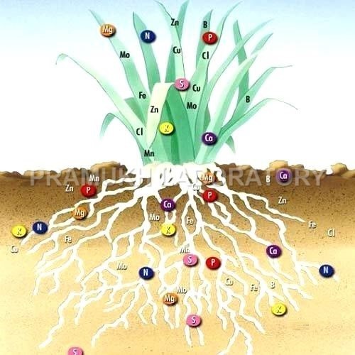 Micronutrient Fertilizers Testing Services - Comprehensive Analysis | Expert Laboratory Testing for All Types of Materials