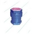 Vertical Lift Check Valves G.m