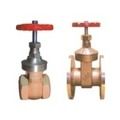 Gate Valve (Pegular Type)