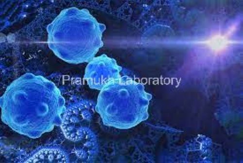 Cytotoxicity Testing Services - Comprehensive Material Testing Solutions | World-Class Laboratory Expertise, All Types of Material Analysis Available