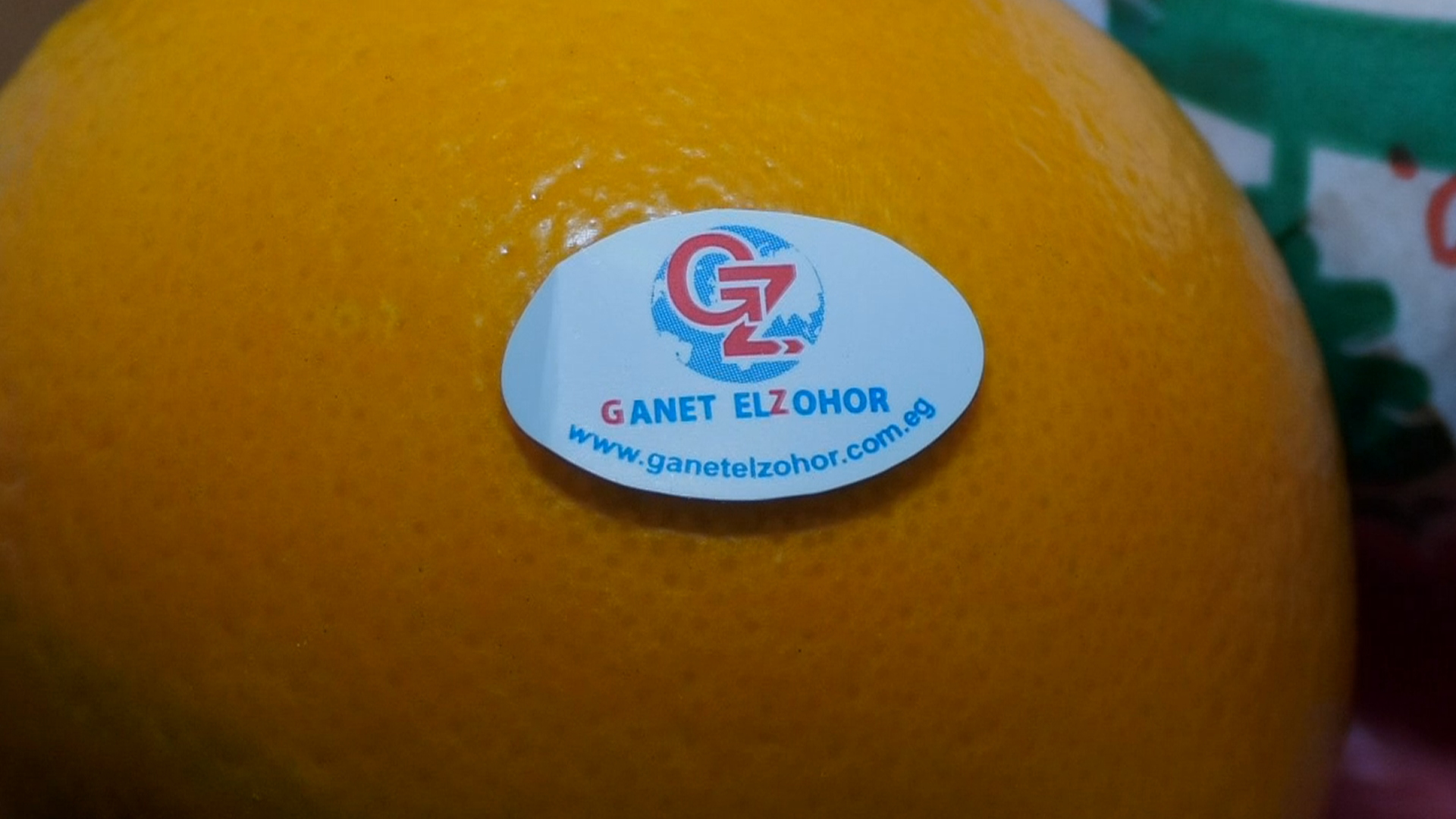 Neval Orange - Fresh Organic Citrus Fruits, Size 22mm To 113mm, Round Shape, Sweet And Easy-to-peel, Suitable For Salads And Baking