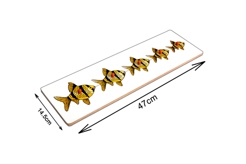 किडकेन मॉन्टेसरी साइज़ वेरिएशन इनसेट बोर्ड फिश/सीरिएशन बोर्ड पज़ल/वुडन साइज़ वेरिएशन पज़ल आयु समूह: 3 से 5 वर्ष