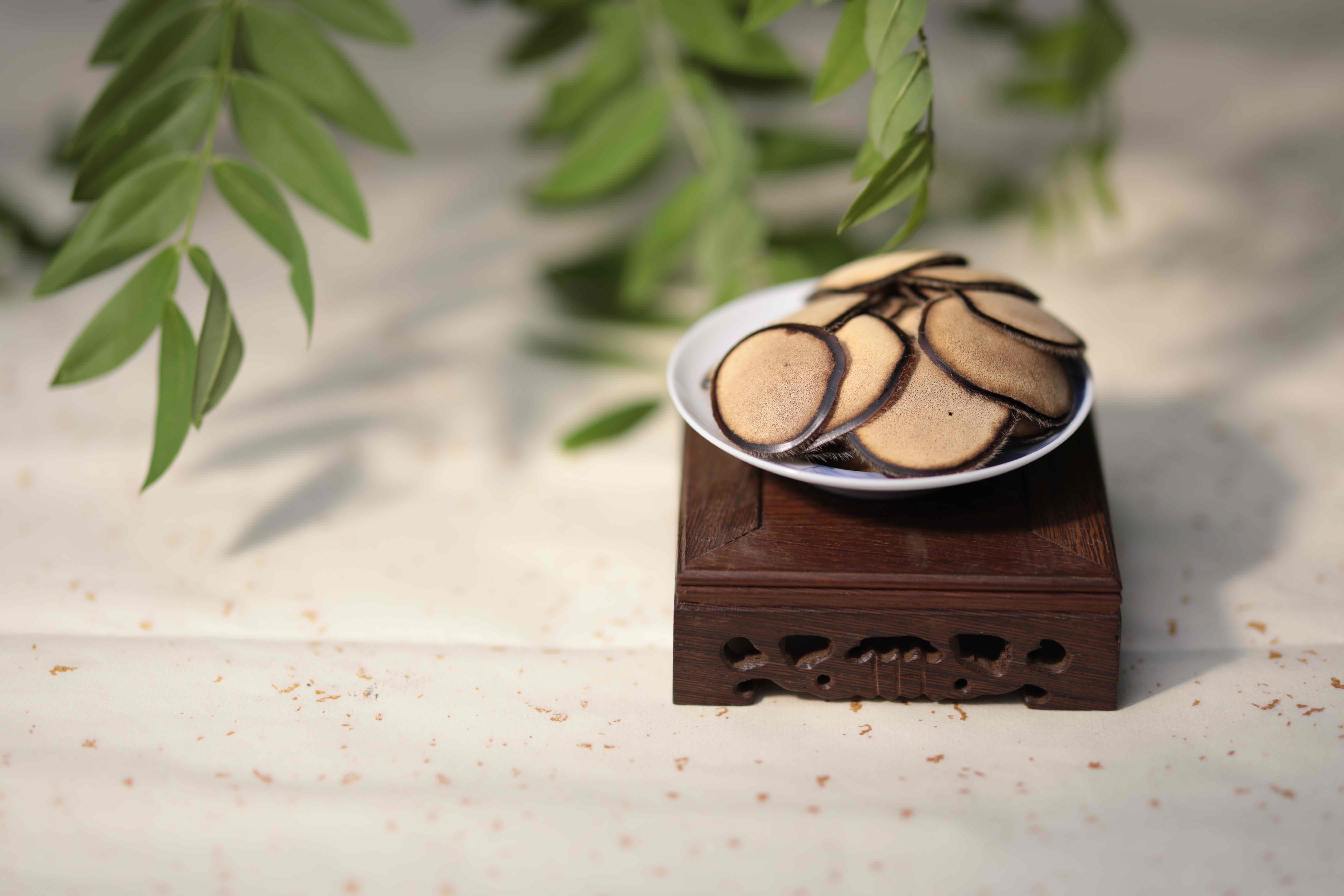 Precious Traditional Chinese Herb Authentic Pantotrichum