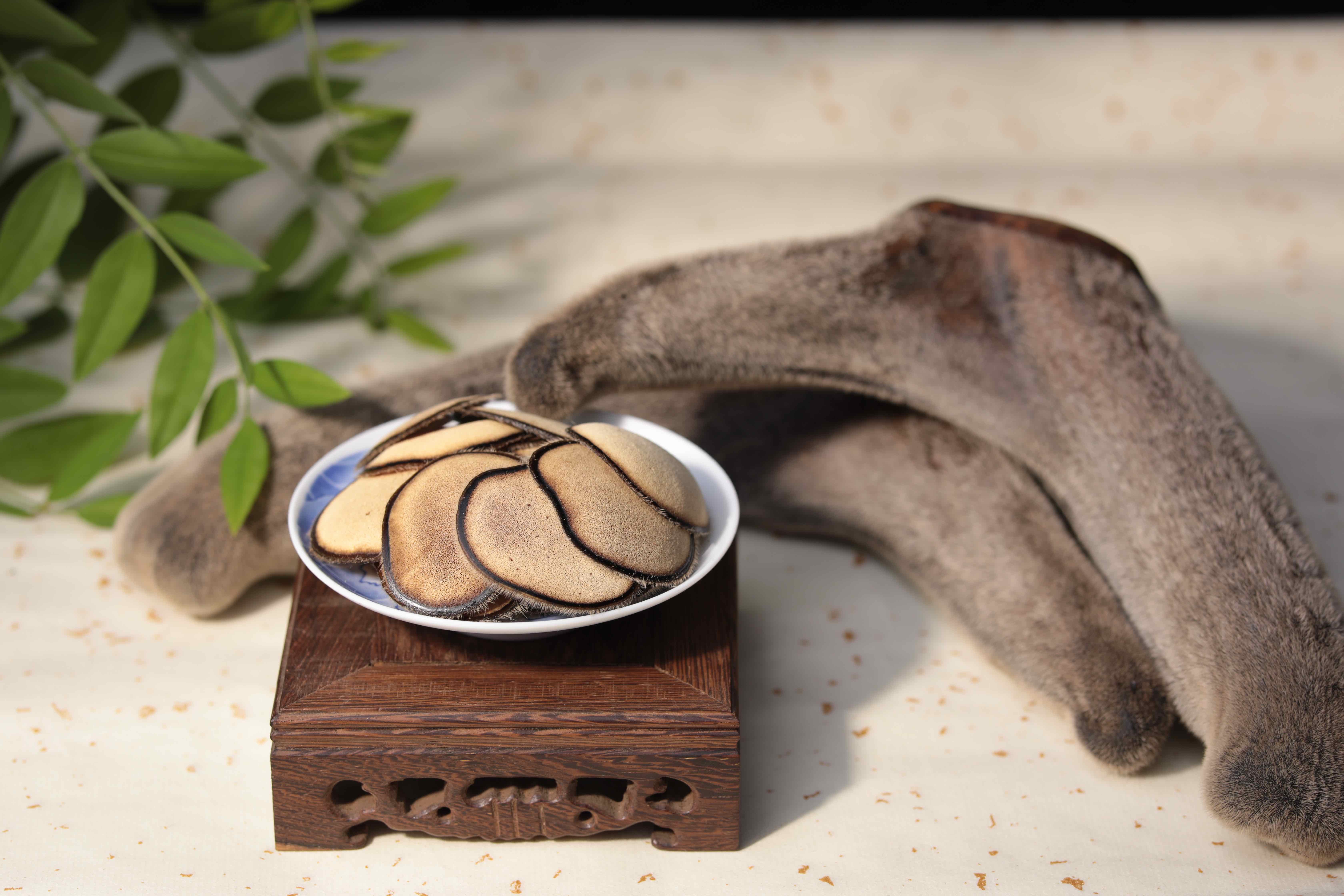 Precious Traditional Chinese Herb Authentic Pantotrichum