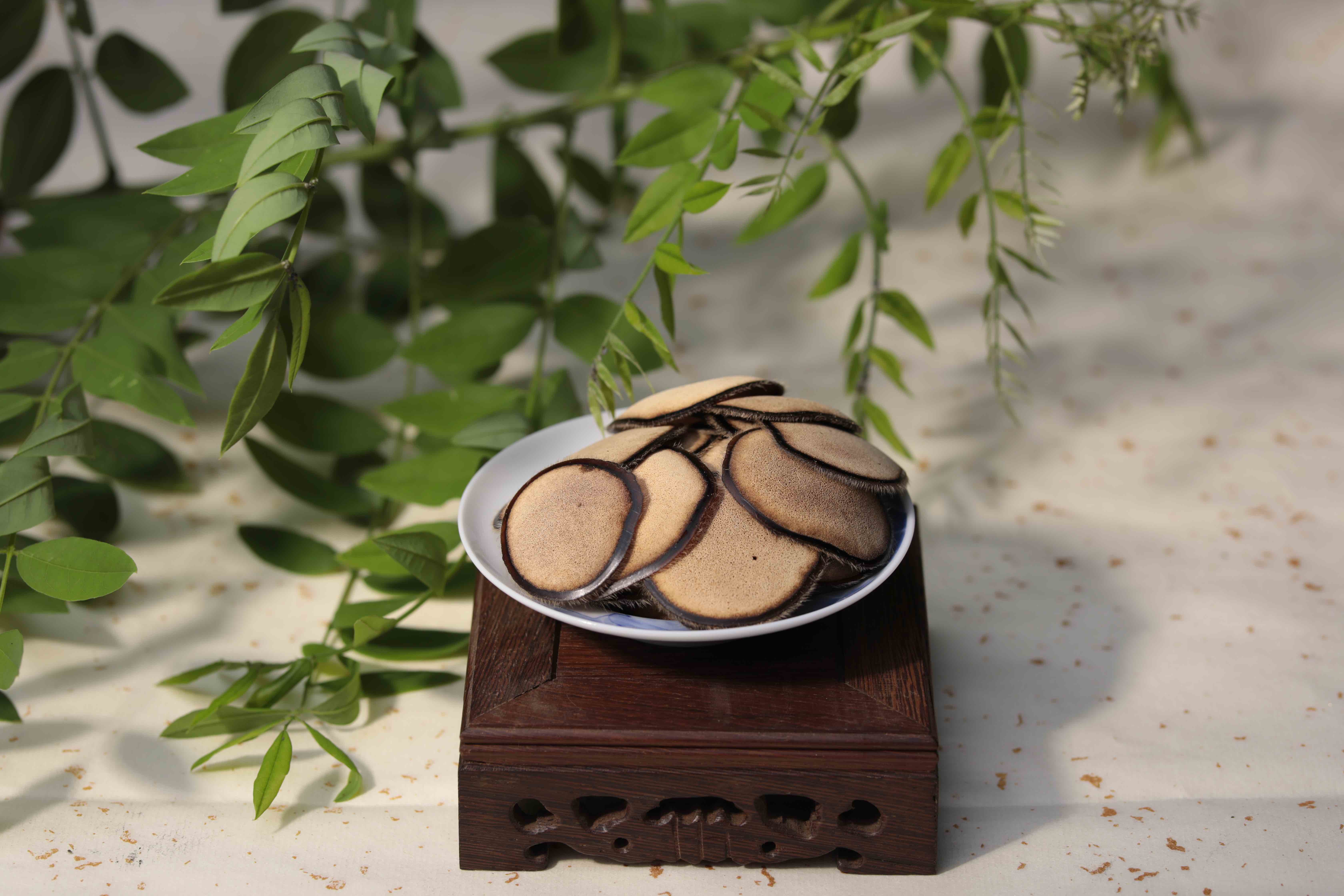 Precious Traditional Chinese Herb Authentic Pantotrichum