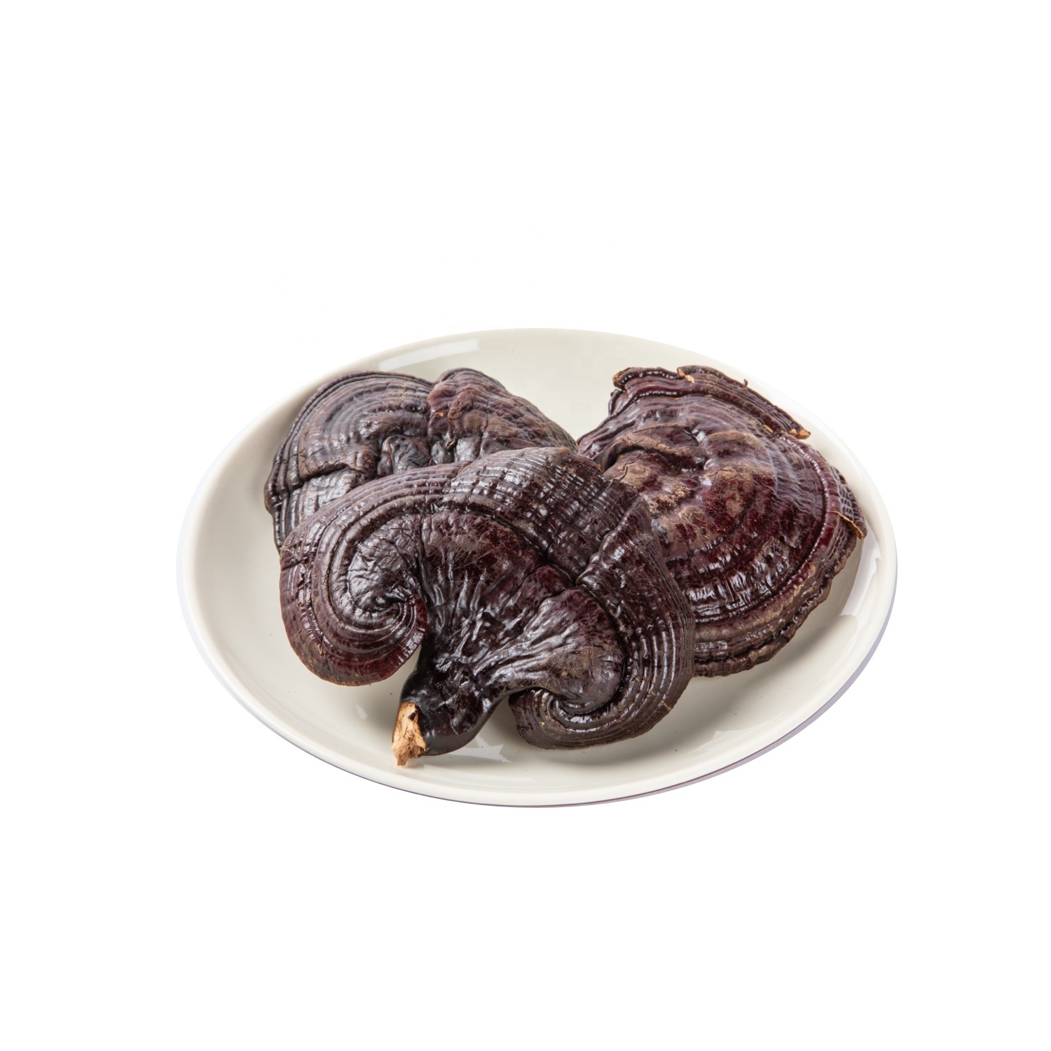 Anti Inflammatory Natural Traditional Herbs Ganoderma Lucidum