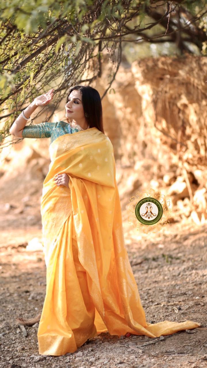Multi Colour Designer Sarees