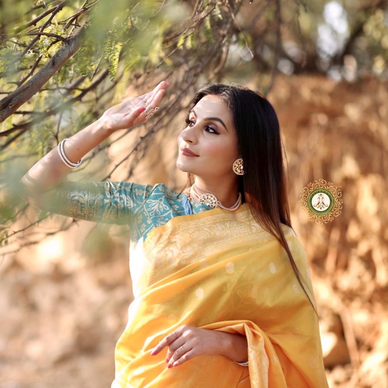Multi Colour Designer Sarees