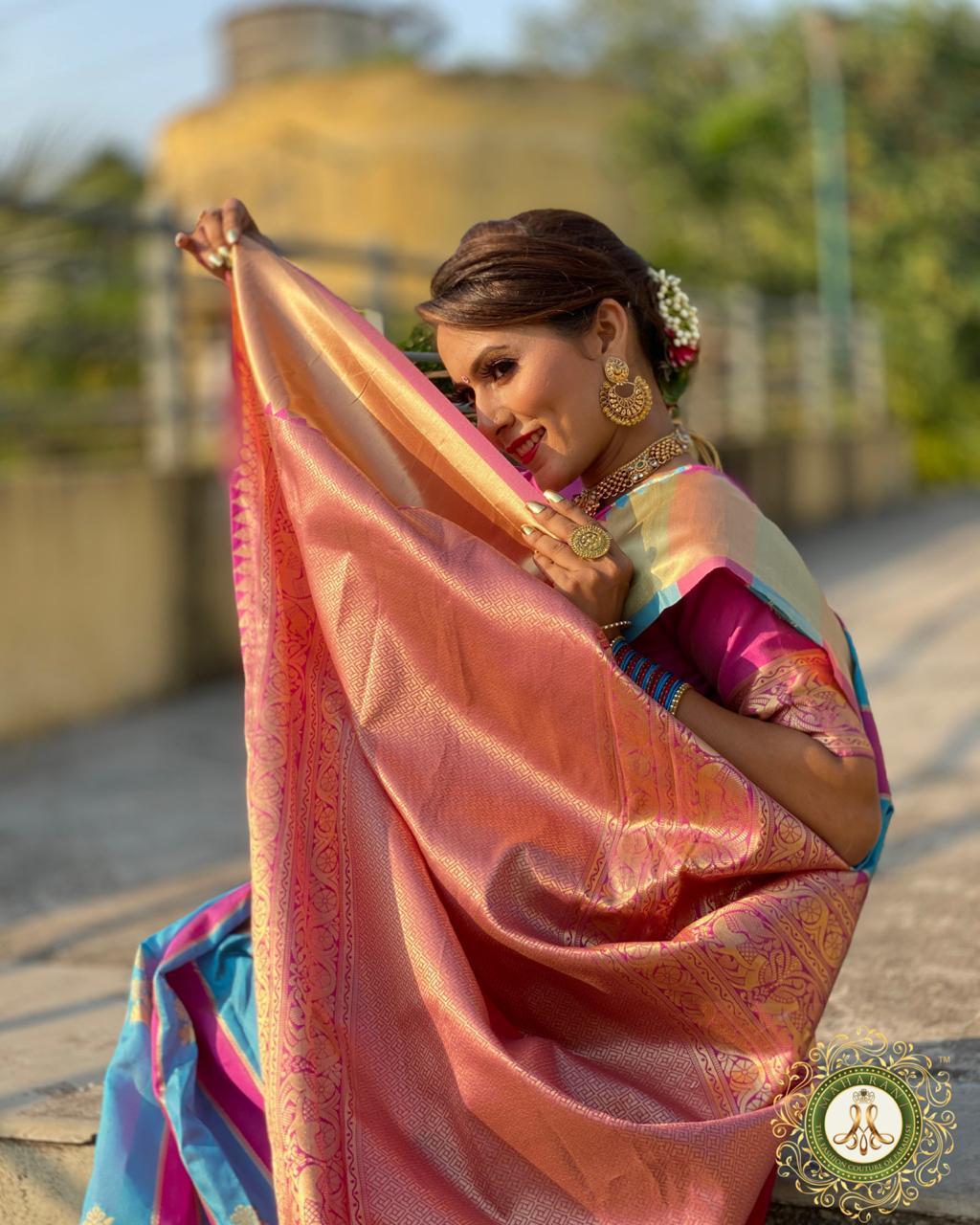 Multi Colour Banarasi Saree