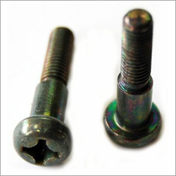 Special Screw