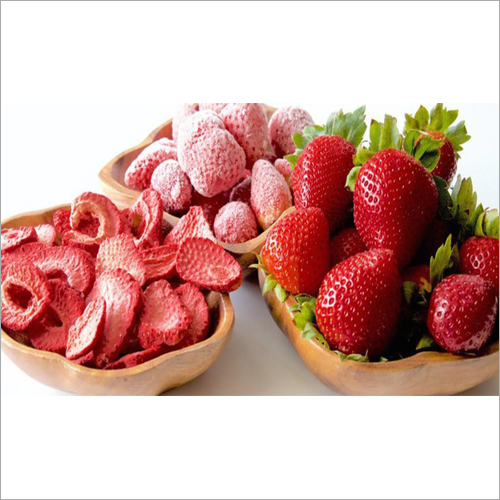 Electric Vegetable Dehydrator Machine16 Tray - General Use: Food Industry