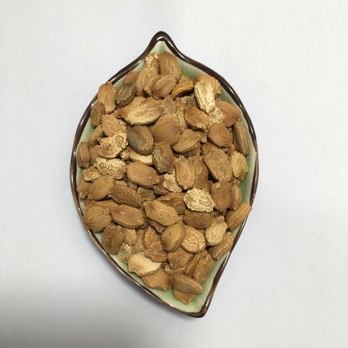 Ku Gua Chinese Supplier Balsam Pear Hybrid Bitter Gourd Seeds