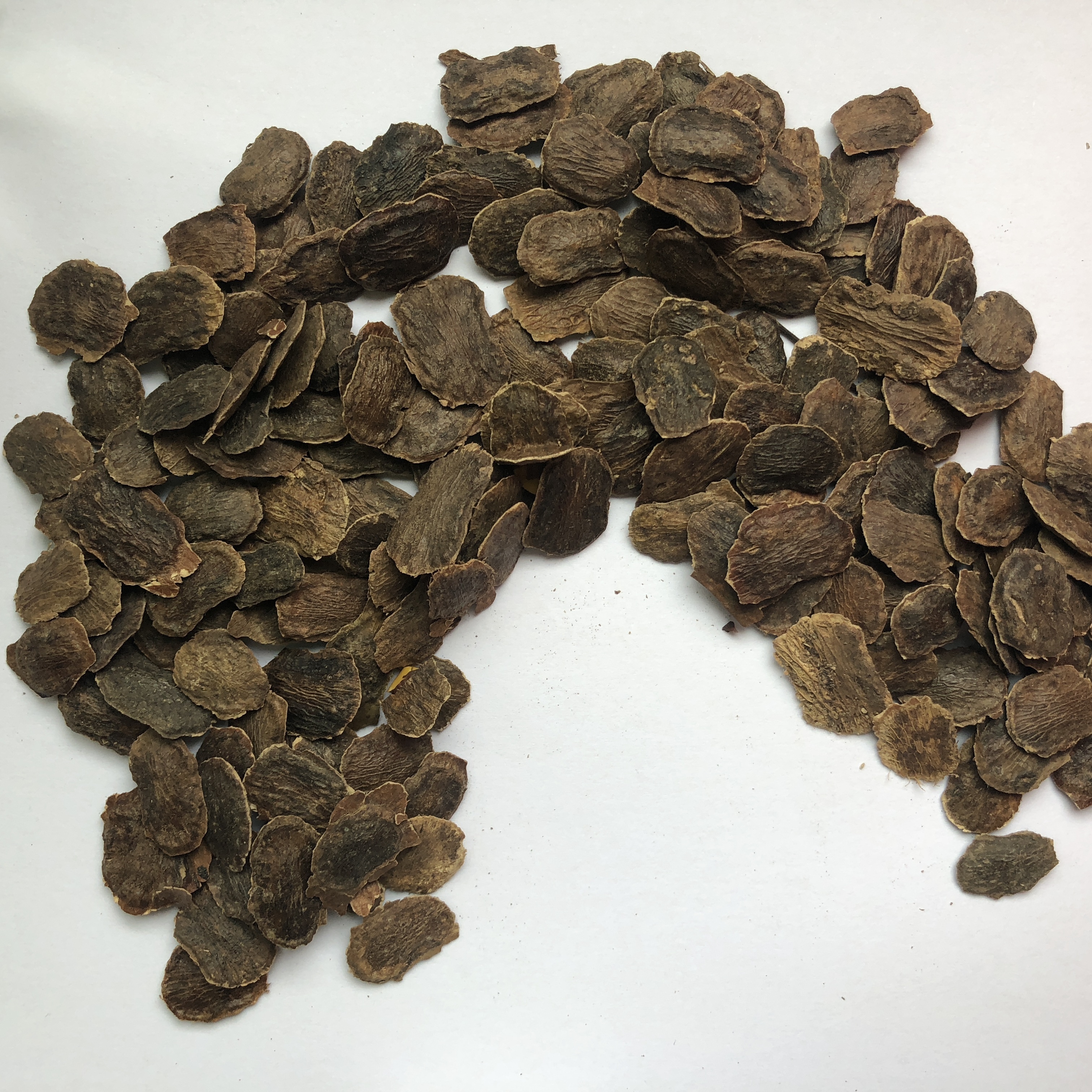 Hai Nan Dalbergia Odorifera Seeds For Planting
