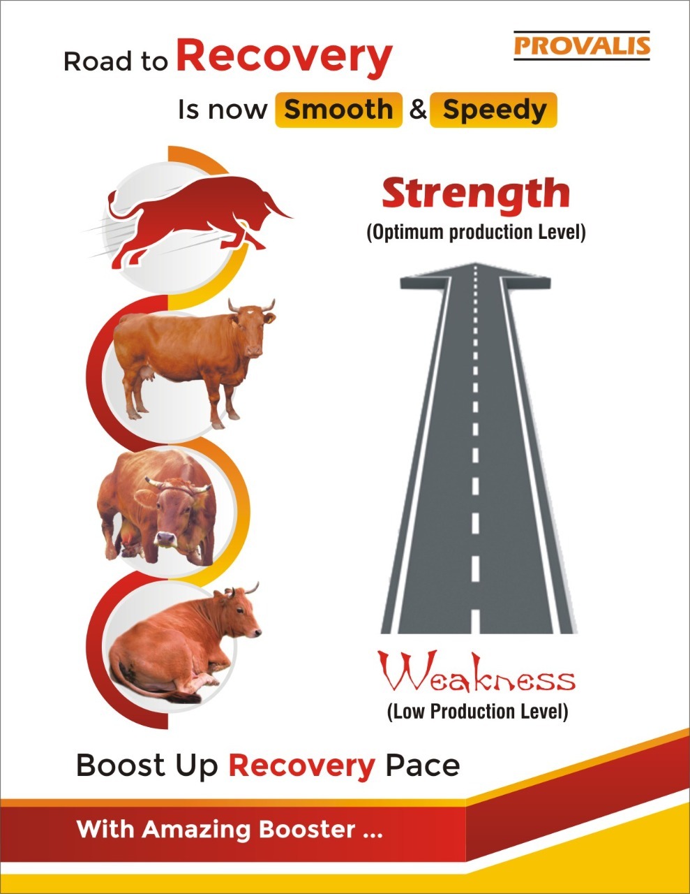 Nuro Boost Syrup - Medicine Type: Animal Health Supplements