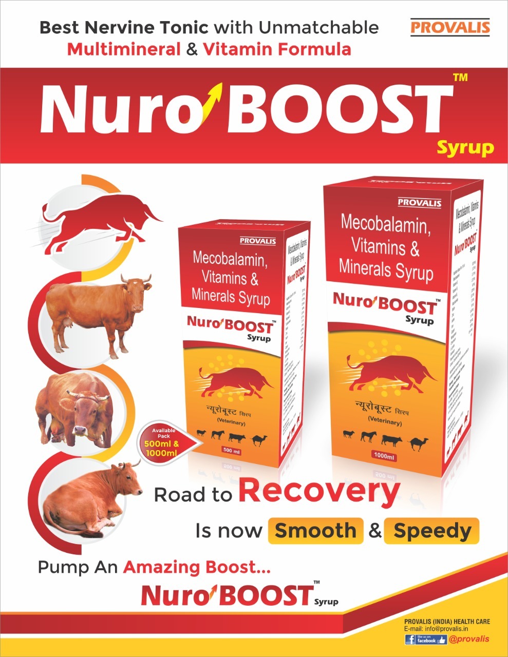 Nuro Boost Syrup - Medicine Type: Animal Health Supplements