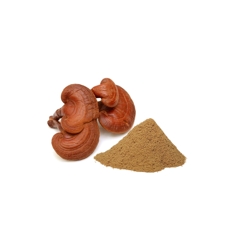 Organic Reishi Powder Ganoderma Powder Lingzhi Mushroom 4% Polysaccharide With 2% Triterpene