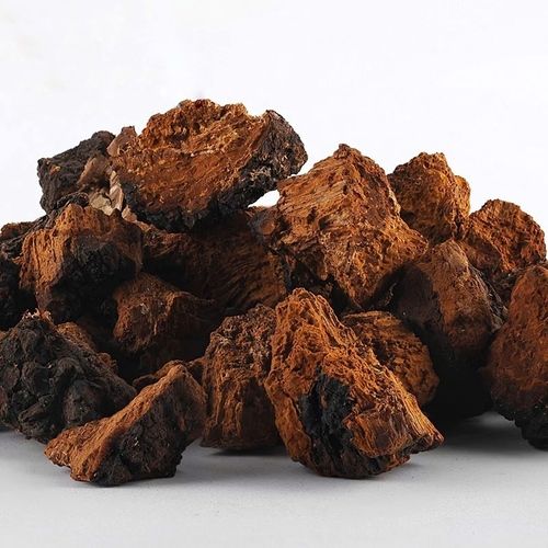 Best Selling Pure Chaga Mushroom Extract Powder 40% Beta Glucan & 2% Bettulinic Acid